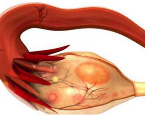国内供卵做试管不用等,湖北三代试管条件正规医院流程，分别叫什么名字
