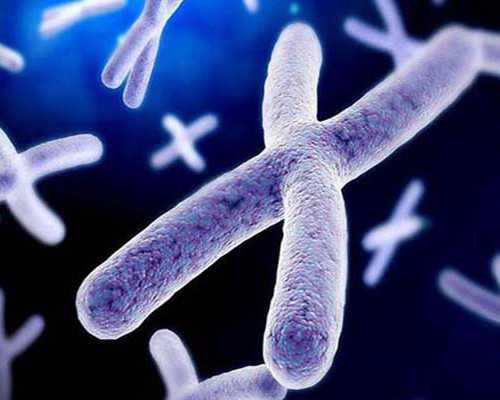 国内供卵的机构在哪,二代试管促排卵后移植胚胎时间 二代试管婴儿几天可以移植